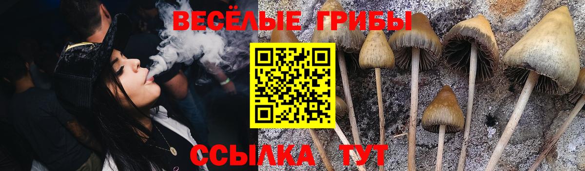 Кашира  Псилоцибиновые грибы мицелий  Псилоцибиновые грибы мухоморы  Вход с VPN 