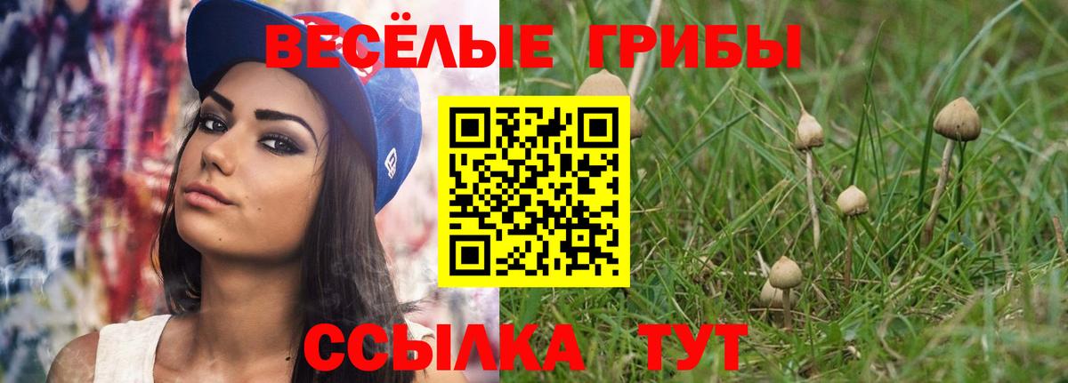 Псилоцибиновые грибы мухоморы Кашира