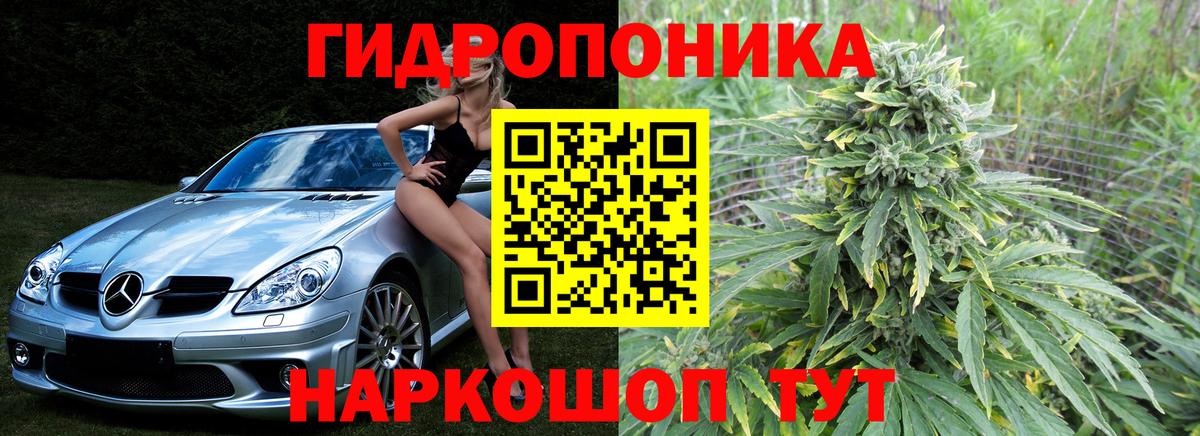 Канабис MAZAR  Канабис THC 21%  Кашира  Бошки марихуана планчик  Конопля конопля 